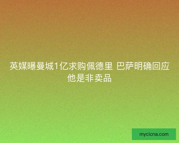 英媒曝曼城1亿求购佩德里 巴萨明确回应他是非卖品