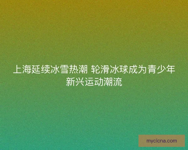 上海延续冰雪热潮 轮滑冰球成为青少年新兴运动潮流