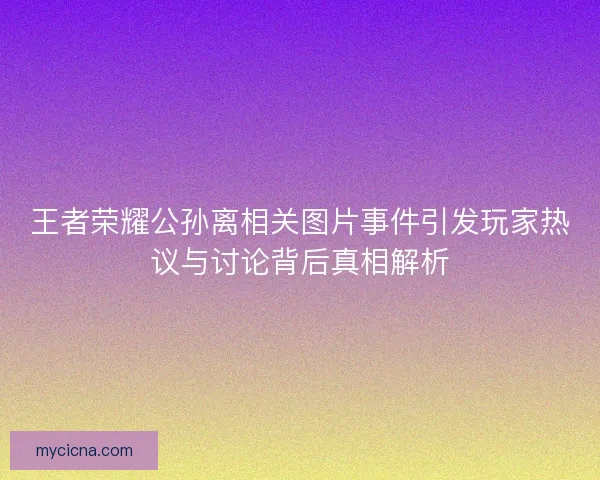 王者荣耀公孙离相关图片事件引发玩家热议与讨论背后真相解析